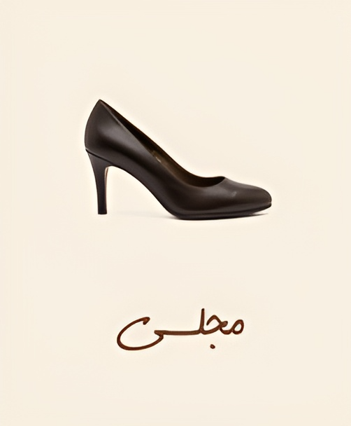 مجلسی
